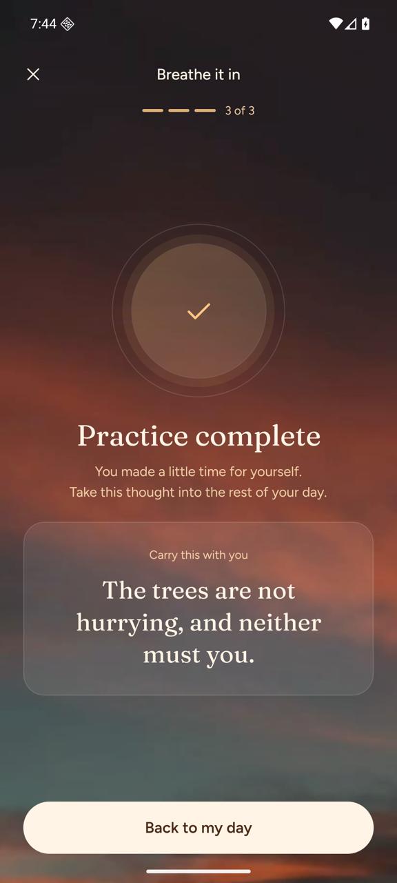 A guided breathing exercise in MyBeing, ending on an affirmation to carry with you